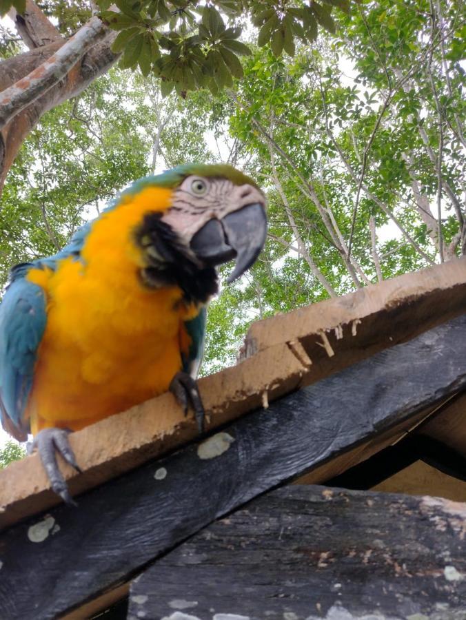Hotel Alto Amazonas 레티시아 외부 사진
