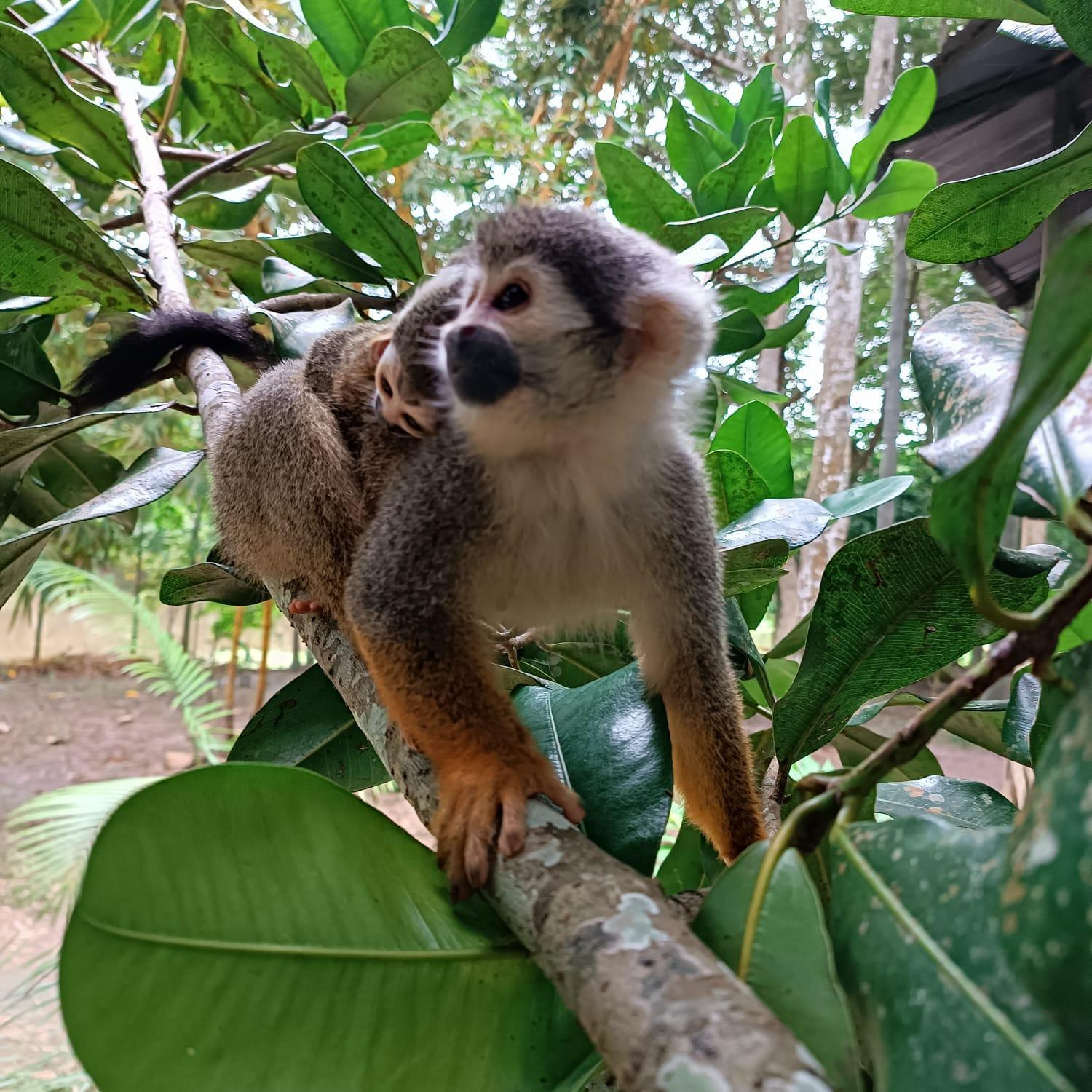 Hotel Alto Amazonas 레티시아 외부 사진